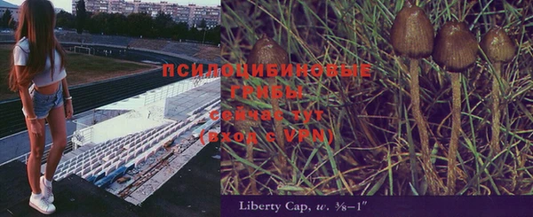 гашик Вязники